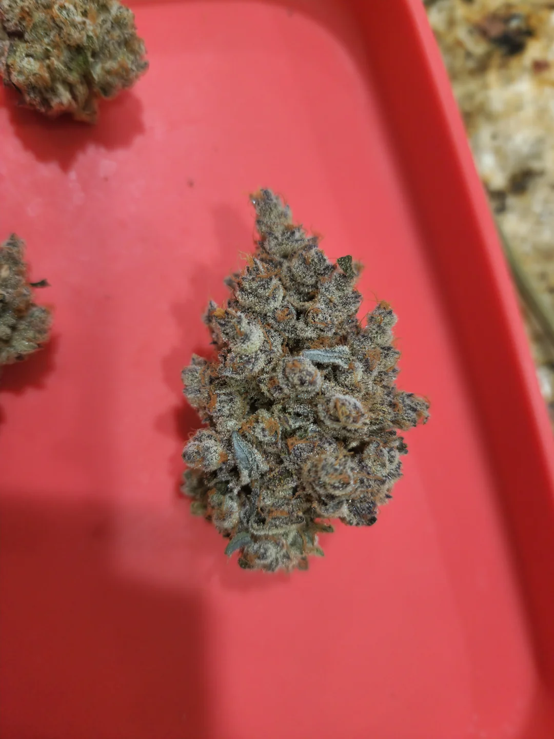 Super Boof cannabis clone orange terps