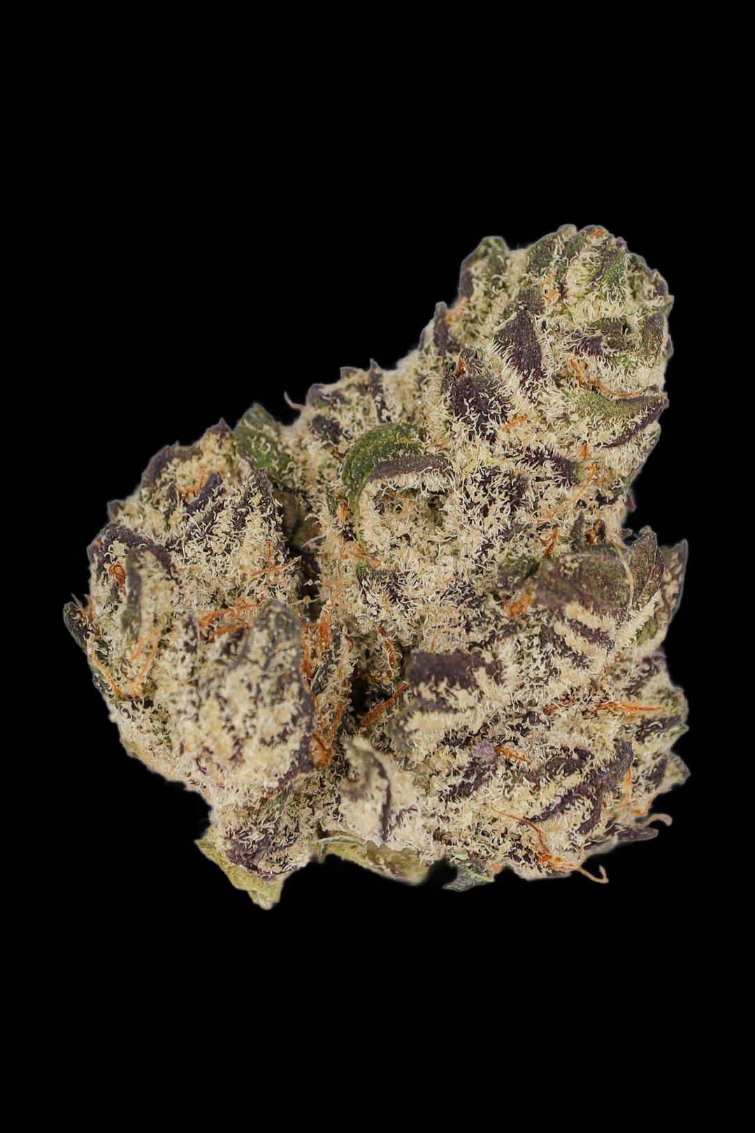 White Truffle clone extreme frost coverage